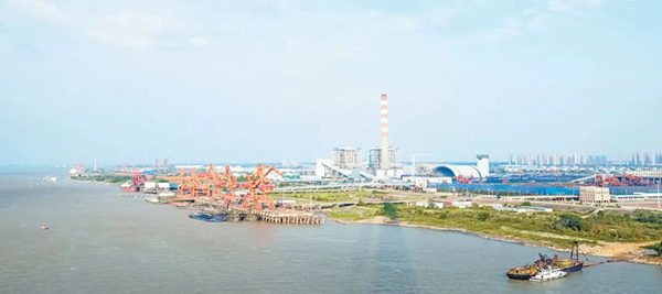 1556164211683031.jpg 圖片3.jpg