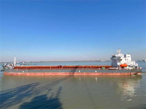 1771046634280169.jpg 圖片3.jpg